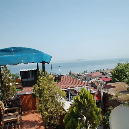 מלון Nayla Palace 3*