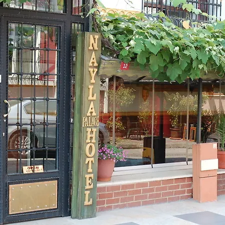 Отель Nayla Palace 3*